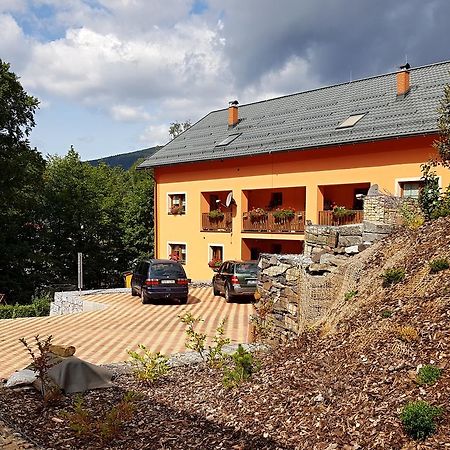 Apartments Kalyn Svoboda nad Úpou Kültér fotó